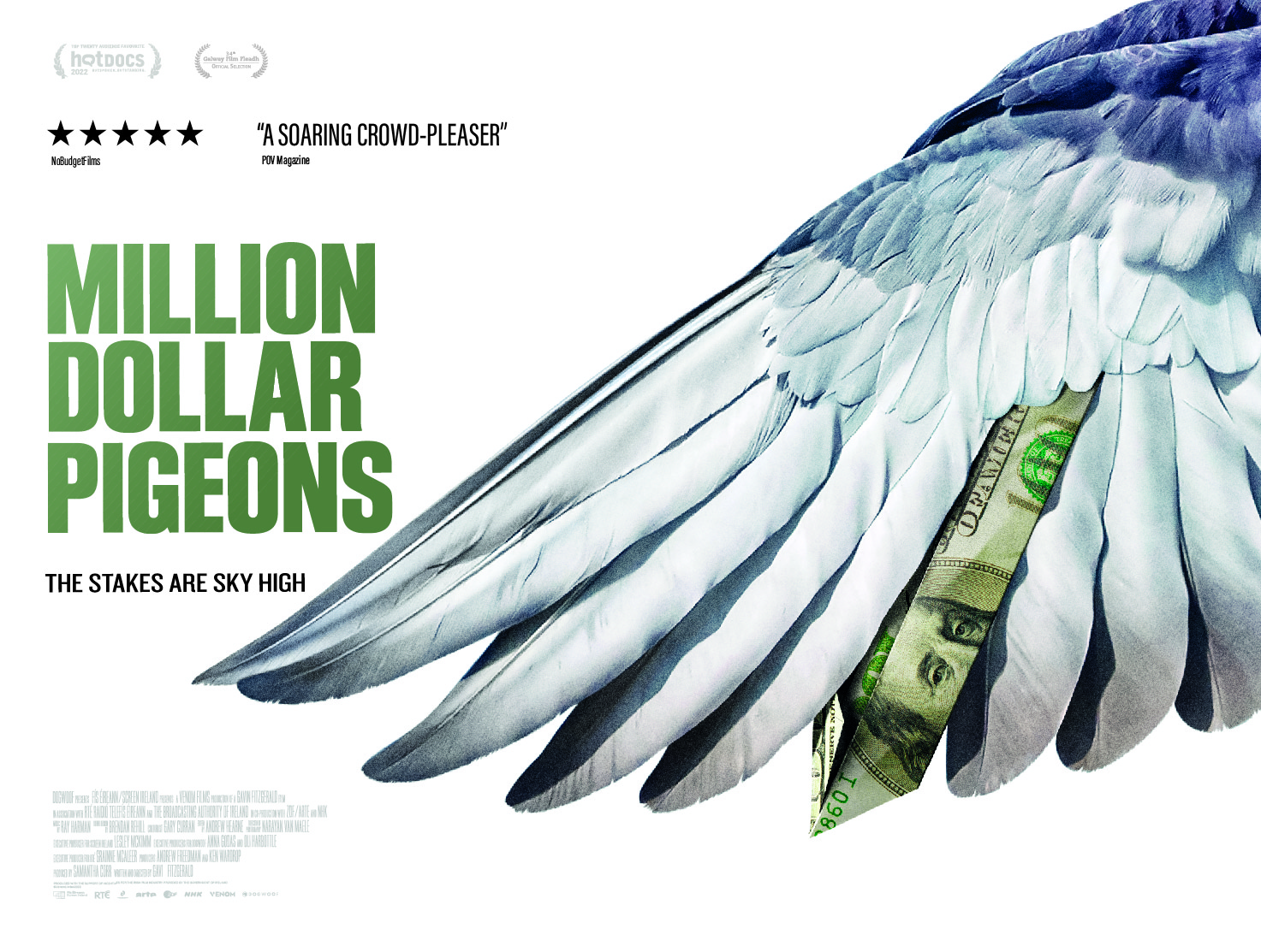 Million Dollar Pigeons Quad for online use